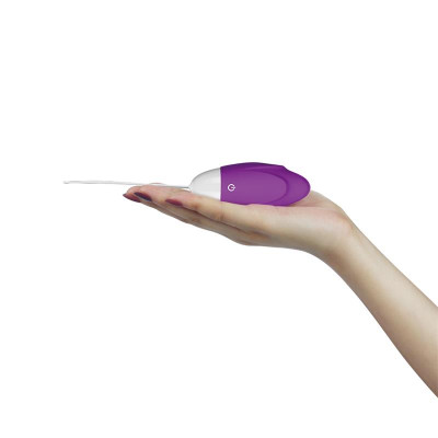 Huevo Vibrador iJoy Control Remoto USB Purpura Huevo Vibrador iJoy Control Remoto USB Purpura