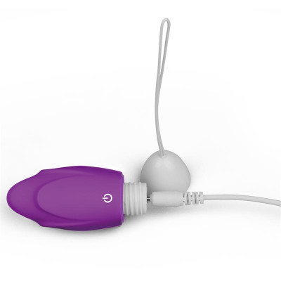 Huevo Vibrador iJoy Control Remoto USB Purpura Huevo Vibrador iJoy Control Remoto USB Purpura