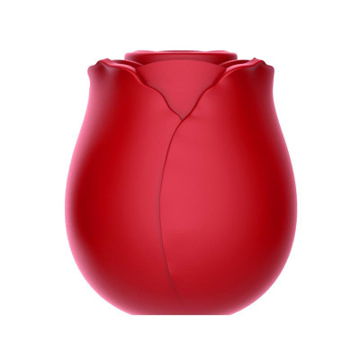 Redrose Succionador de Clitoris con Base Magnetica USB Silicona Redrose Succionador de Clitoris con Base Magnetica USB Silicona
